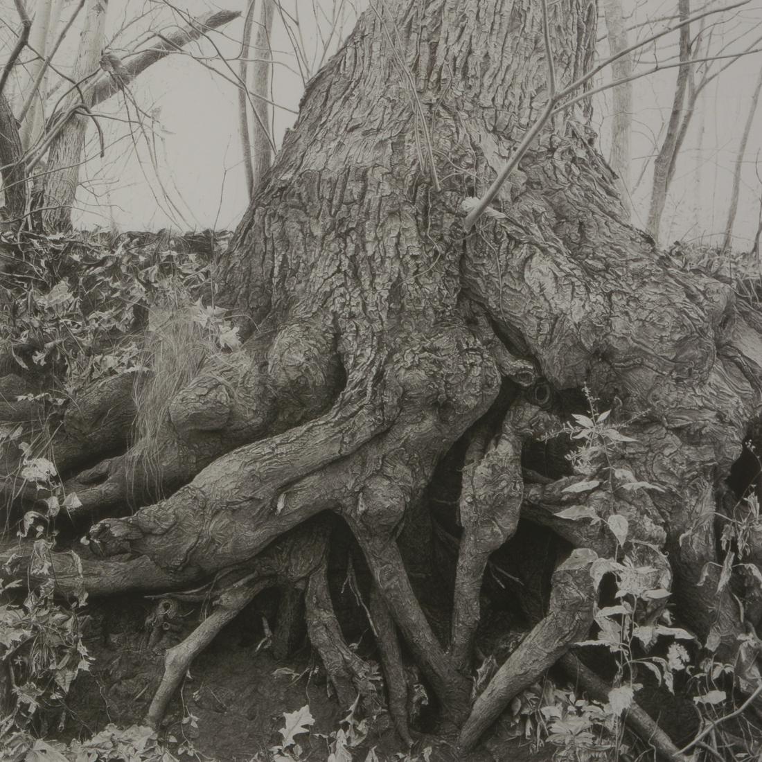 Paul Otero "The Kingdom Tree" lithograph (1 of 5)