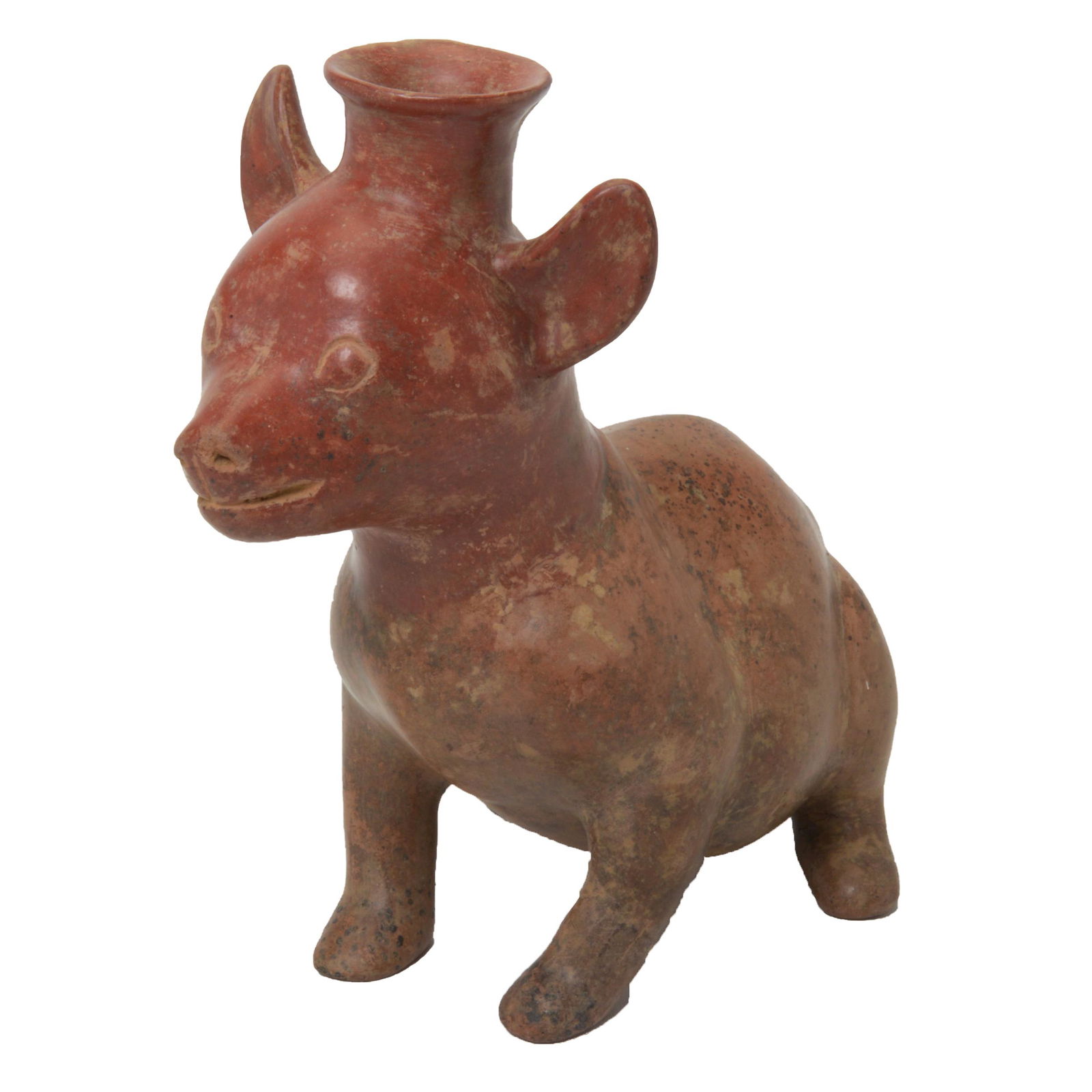 Pre-Columbian Colima Pottery Dog Vessel. (1 of 4)