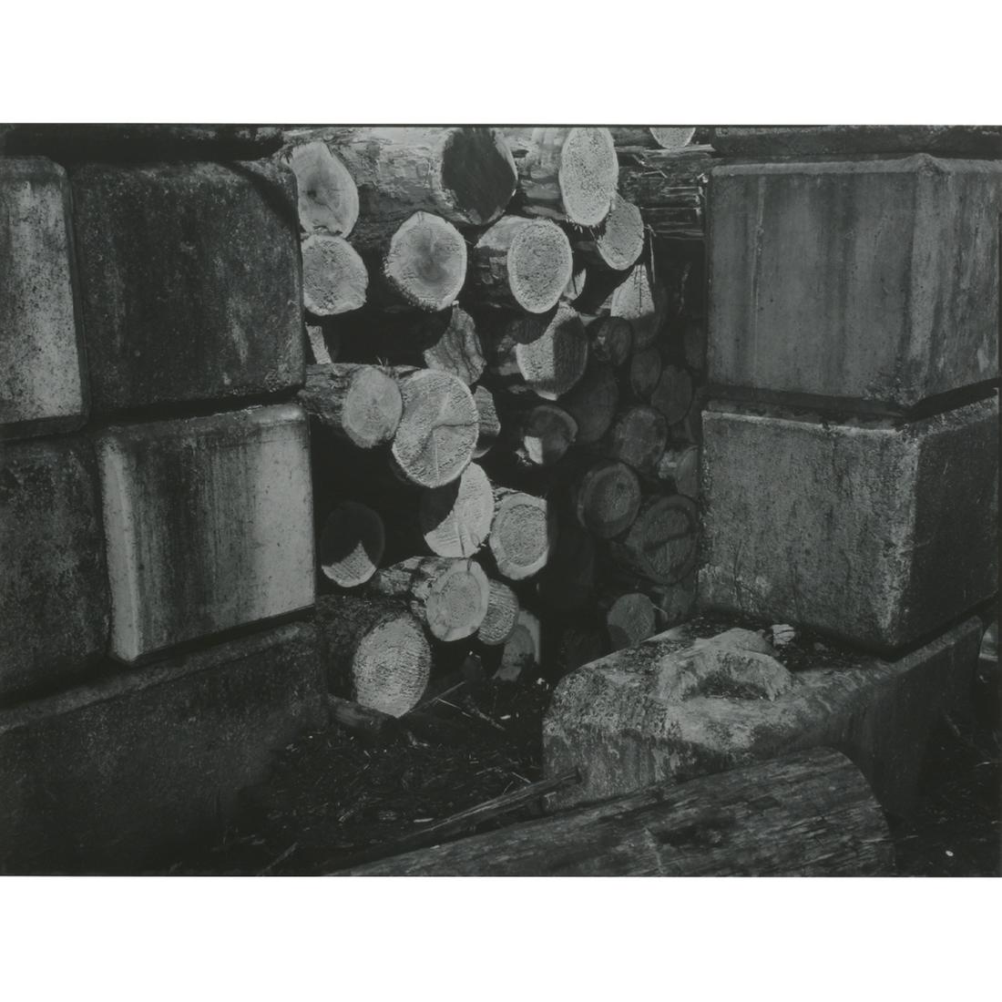 Jeff Wall "Logs" digital print (1 of 5)