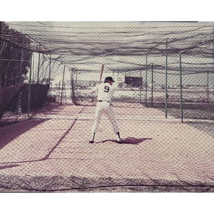 Stephen Shore "Graig Nettles, Fort Lauderdale FL" color: STEPHEN SHORE (American b. 1947) "Graig Nettles, Fort Lauderdale FL 1978", 1981 color print, image: 8 x 10 inches; sheet: 11 x 14 inches; overall with frame: 16 x 20.25 inches, signed and dated in ink