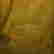item-7764747=2
