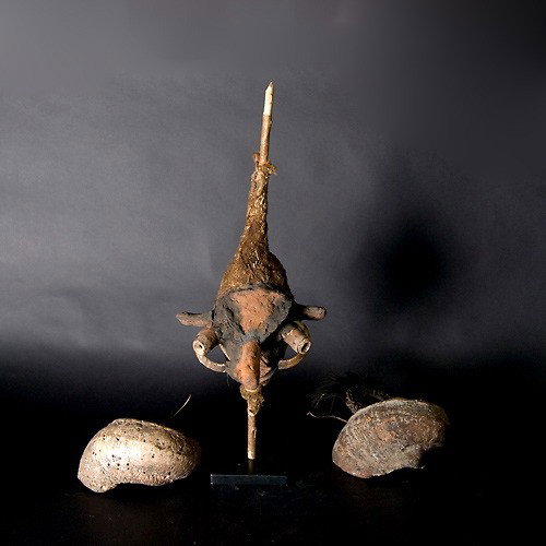 Three Oceanic items Sepik Vanuatu: Three OCEANIC items: one Vanuatu puppet head, wood, spider web, painted clay; two Sepik river bride price shells. Length of puppet 28 inches. All in good condition. Sale to benefit the programs of Fol