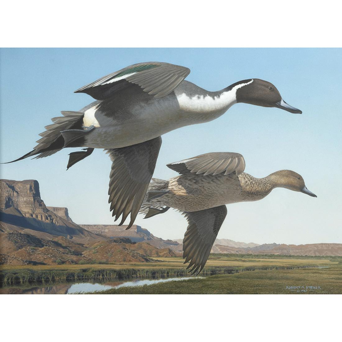 Robert Steiner, Pintails at the Colorado, oil on panel (1 of 3)
