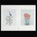 742: Keiko Minami. 2 Woodblock prints