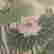 item-128171010=2