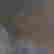 item-131926006=3