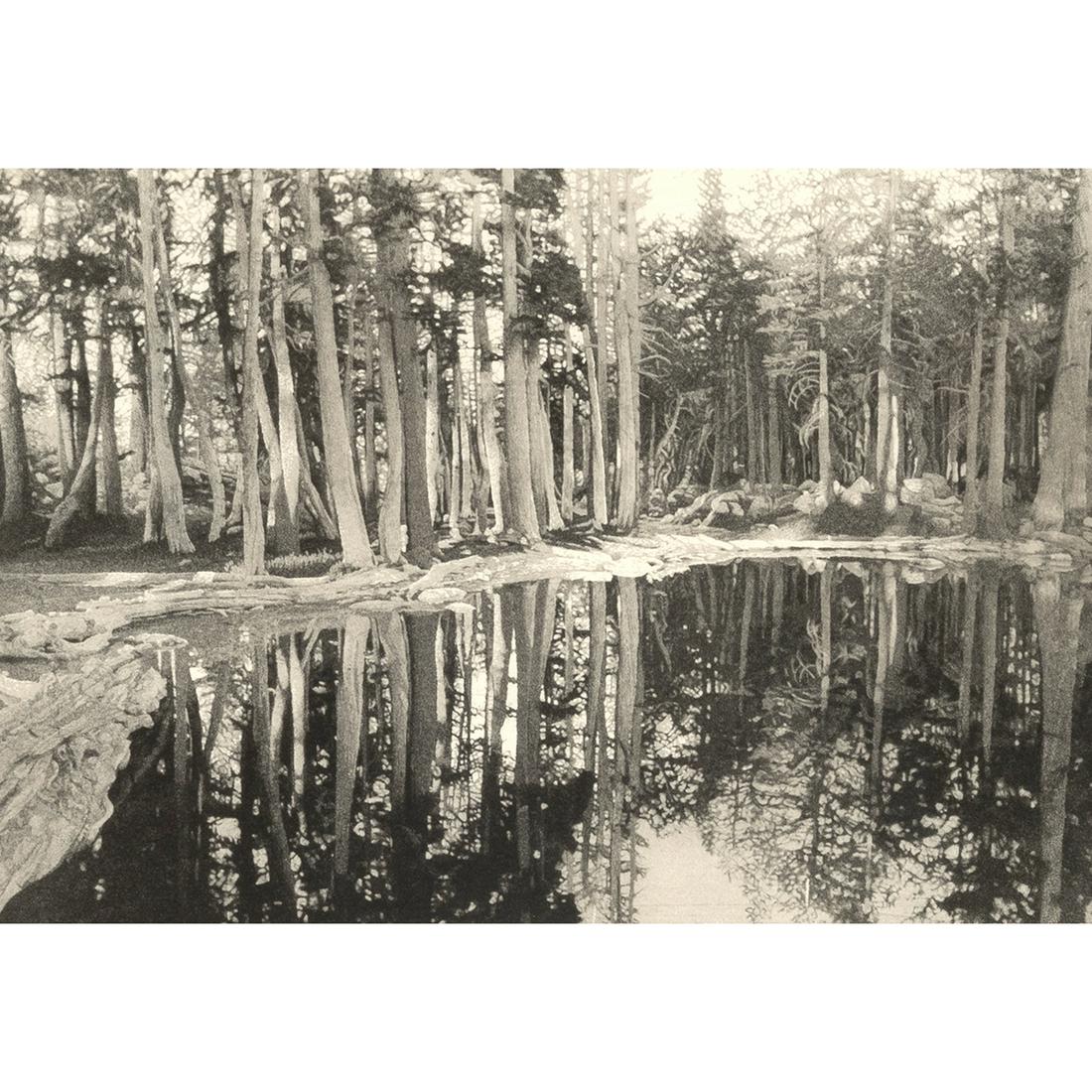 Stephen McMillan, Still Water, lithograph (1 of 5)