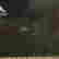 item-137388219=3