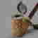 item-11162677=3
