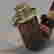 item-11162684=2