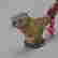 item-11162687=2