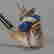 item-11162691=3