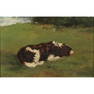 American School, Dog Laying Down, oil
