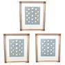 Three Antique Intaglio Collections in Shadowbox Frames