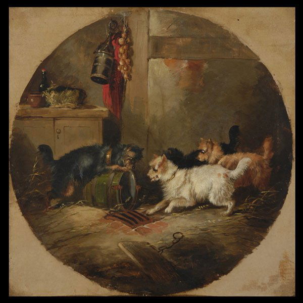 GEORGE ARMFIELD "Curious Terriers": GEORGE (SMITH) ARMFIELD (British 1808-1893) "Curious Terriers, 1851" Oil on canvas. 11.80 x 11.80 inches/ 30 x 30 centimeters. Signed & dated lower right " G. Armfield, 1851" Frame: 17 x 17 inches/ 43
