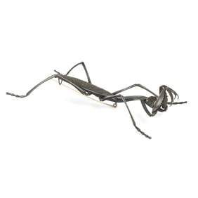 Gabriella Kiss Oxidized Bronze Praying Mantis Brooch.