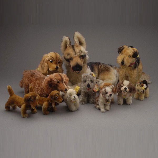 Eleven Vintage 1950s Steiff Figures of Dogs: Collection of Eleven Vintage 1950s Steiff Figures of Dogs, all with ear tags and paper labels: two "Terry" in small and large sizes; two "Hexie" dogs; a "Tessie"; a "Peky", a "Cockie"; a "Revue Susi";
