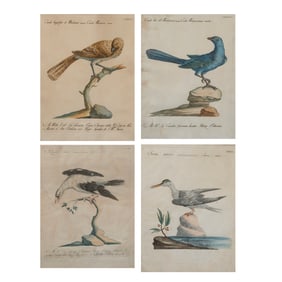 Saverio Manetti, Four Ornithological Prints