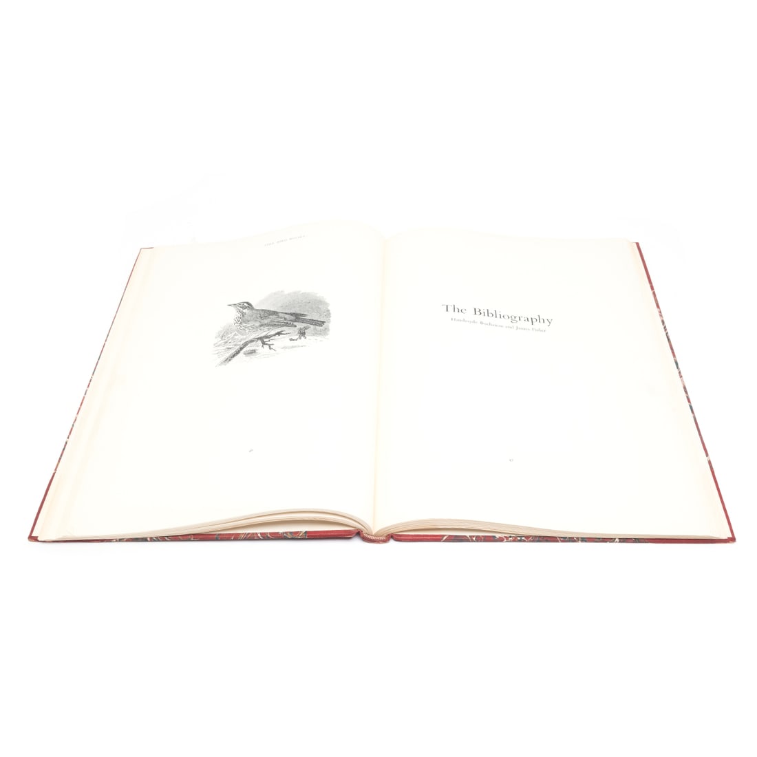 Fine Bird Books 1700-1900 (1 of 2)