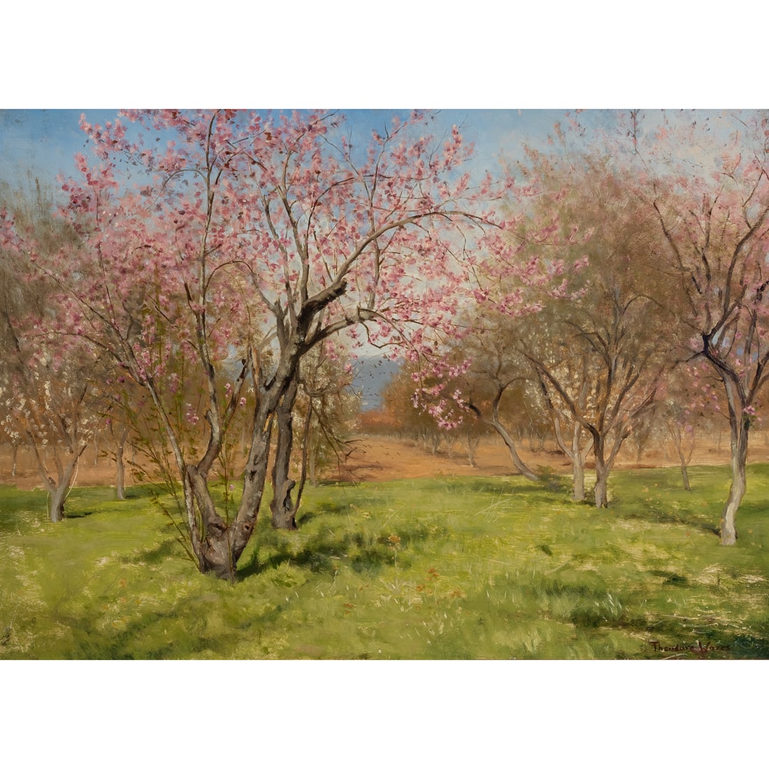 Theodore Wores, Orchard, oil: THEODORE WORES (American/Californian, 1859-1939), Orchard, oil on canvas, (approximate dimensions - canvas (sight): 19 x 27 inches); signed lower right. Condition: Surface dust, varnish aging, frame a