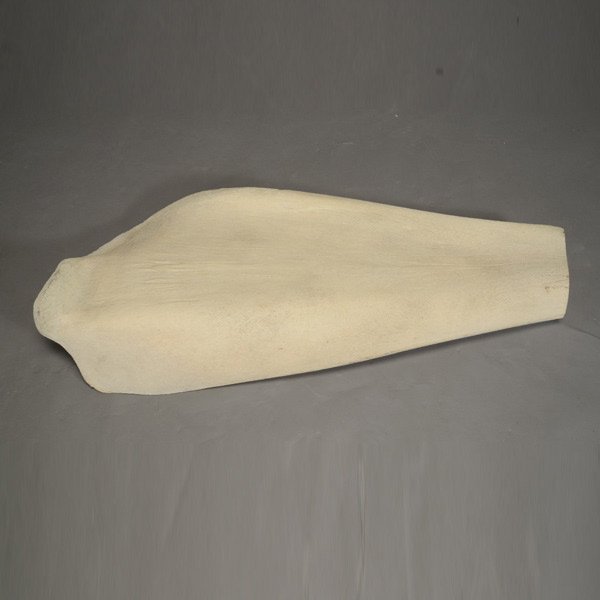 Whale Bone Specimen, possibly a flipper: Whale Bone Specimen, possibly a flipper {Length 48 1/2 inches}