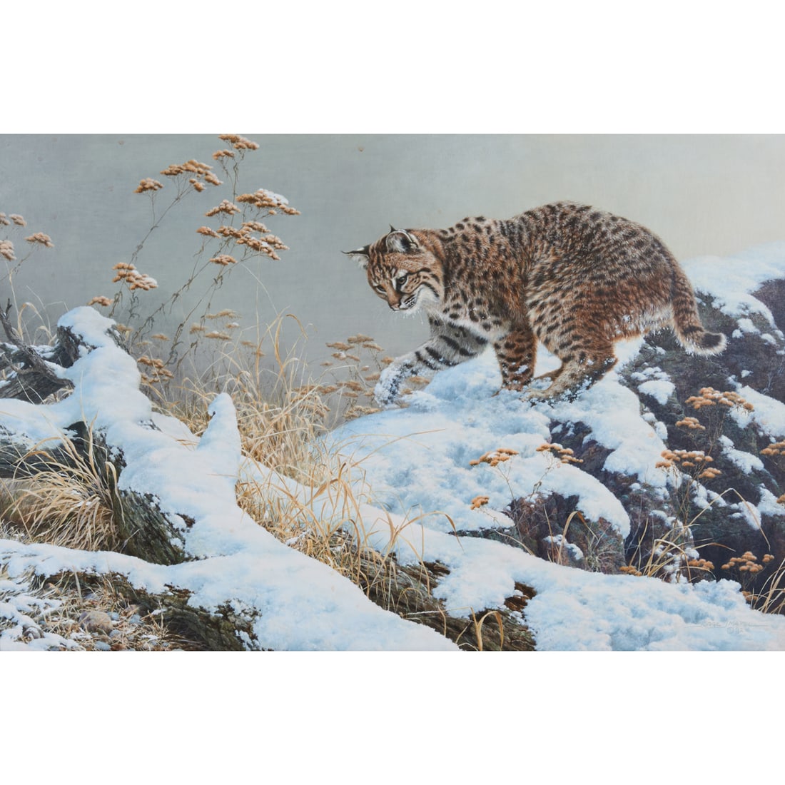 Jorge J. Mayol, Snow Lynx, oil (1 of 5)