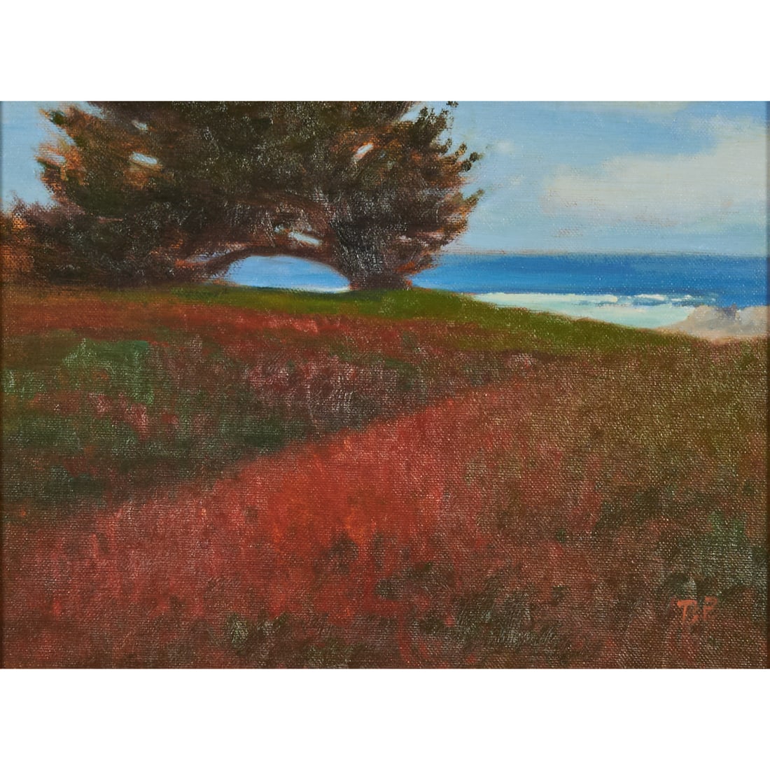 Brian Blood, Windblown Cypress, oil (1 of 5)