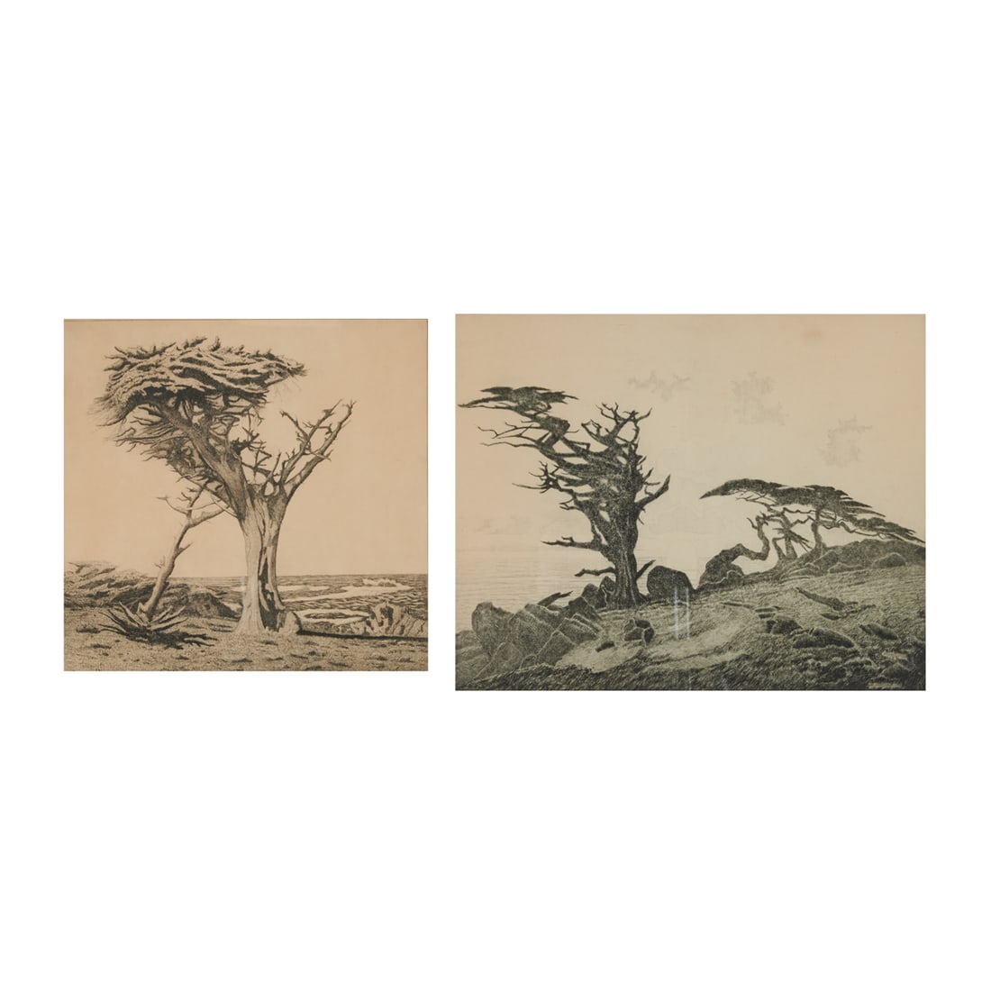 Ferdinand Burgdorff, Two Etchings of Cypresses (1 of 8)