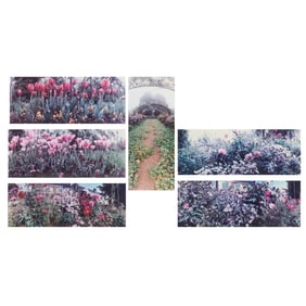 Richard Ross, Six Framed Photographs Gardens at Giverny