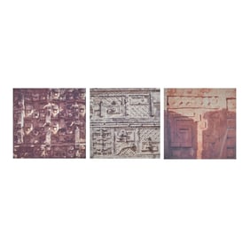 David Buckland, Three Iris Prints, Mexican Stone Series