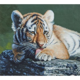 Terry Isaac, Tiger Cub at Rest, oil painting on panel