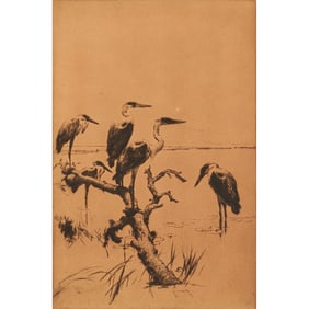 Frank Benson, Herons at Rest, etching
