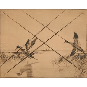 Frank Benson, Pair of Pintails, drypoint