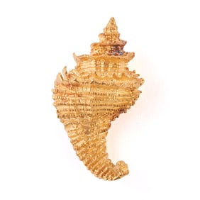 Henry Dunay 18k Yellow Gold Shell Brooch.