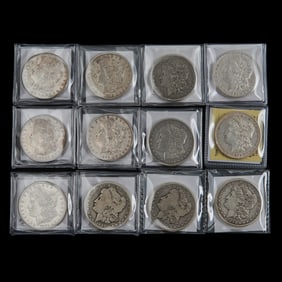 US Morgan Dollars (12)