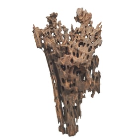 Chinese Agarwood Piece