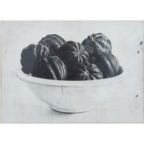 Paul Manes, Still Life of Squash, graphite