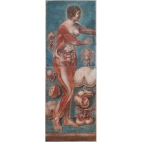 After Jacques d'Agoty, Female Anatomy, engraving