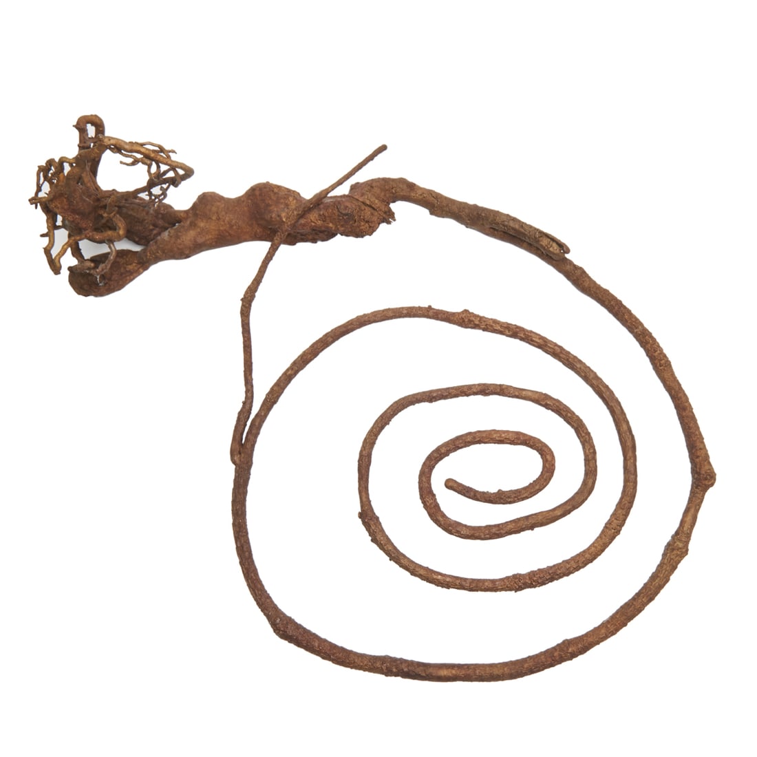 Yoshitomo Saito, Spiral Tail, bronze: YOSHITOMO SAITO (Contemporary), Spiral Tail, hanging cast bronze, (approximate dimensions - overall: 18-1/2 H x 12-3/4 W x 6-1/2 D inches), unsigned. Condition: Bronze has weight, surface dust and dir