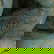item-210547576=5