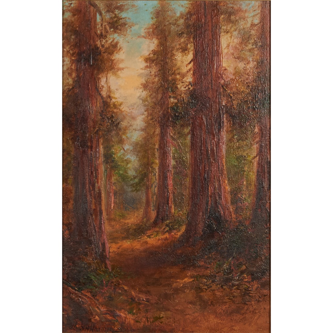 Charles Henry Harmon, Redwood Trees, Oil on Board (1 of 4)