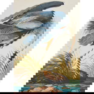 After John James Audubon, Great Blue Heron, Print: After John James Audubon (French/American, 1785-1851),&nbsp;&quot;Great Blue Heron,&quot; Plate 211, print, [approximate dimensions - sheet: 36&quot; H x 25 1/4&quot; W], numbered 182/200 and stamped