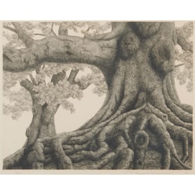 Tanaka Ryohei, Tree with Roots, Etching