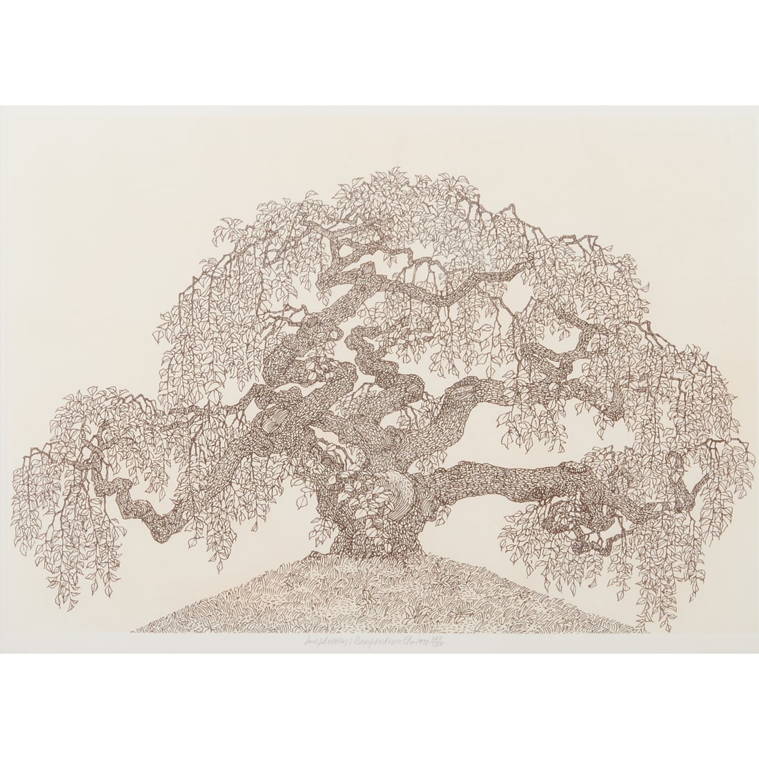 Jacques Hnizdovsky, Camperdown Elm, Woodcut (1 of 4)