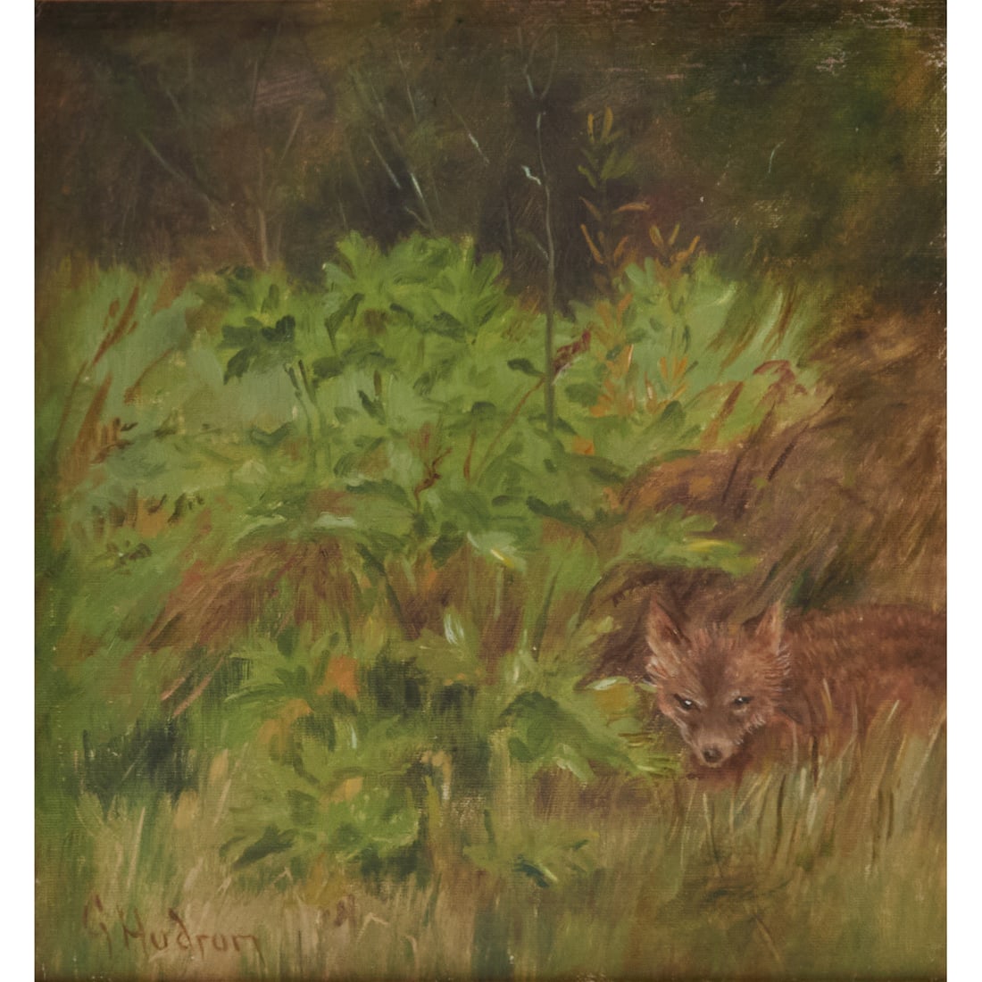 Grace Carpenter Hudson, Fox in Shrubs, Oil on Canvas: Grace Carpenter Hudson (American, 1865 - 1937), Fox in Shrubs, oil on canvas,[approximate dimensions - sight: 8 5/8" H x 8 1/8" W], signed lower left.