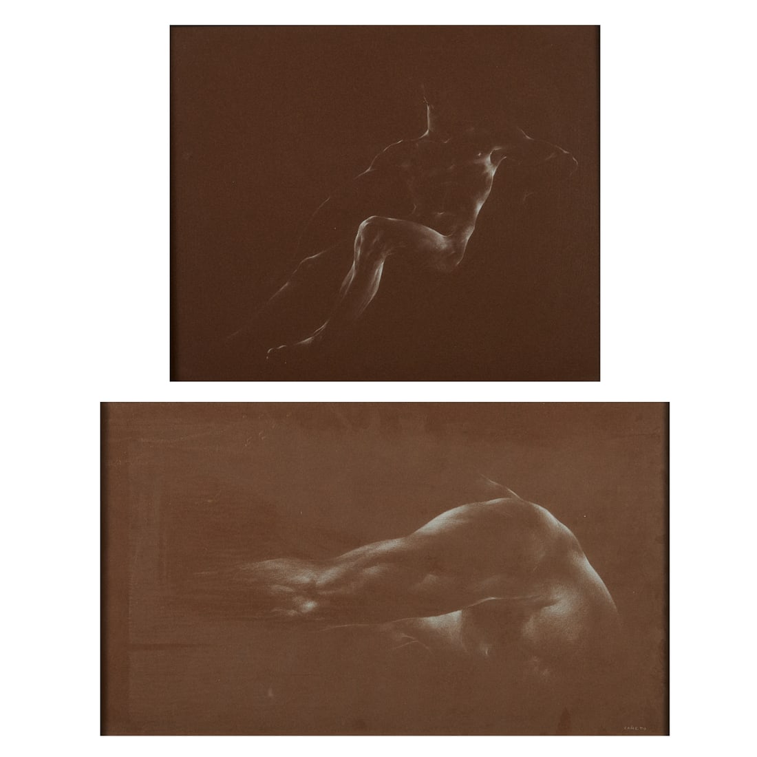 Alexander Canedo, Two Nude Drawings: Alexander (Alejandro de) Canedo (Mexican, 1902 - 1978), Two Male Nude Drawings, white chalkon toned paper, (i) Untitled - Sitting Male, signed lower left, (ii) Untitled - Pecs and Chest, signed lower 