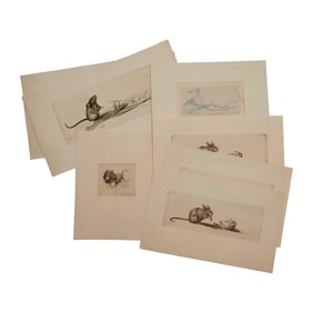 Richard Muller, Group of Eight Etchings