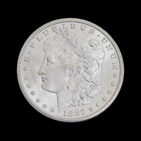 US Morgan Dollar 1883 (CC)