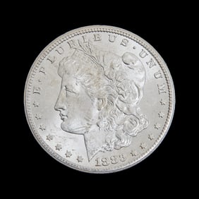 US Morgan Dollar 1883 (CC)