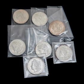 US Morgan Dollars (7)